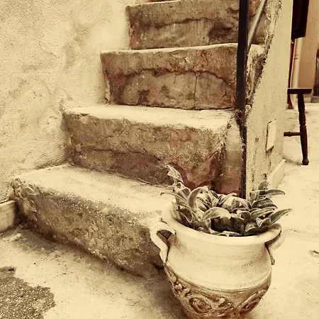 Fiore Di Maggio Trapani